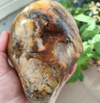 Hetian Jade Seed Raw Stone 1.38kg Stone-Wrapped Jade Xinjiang Hetian Jade Natural Jade