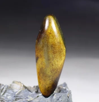 Hetian Jade Seed Material Rough Stone 235.6g – Authentic Xinjiang Hetian Natural Yellow Qin + Blue-and-White Raw Jade for Hand-Held Piece