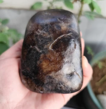 Hetian Jade Seed Material Rough Stone 489g Xinjiang Hetian Jade Natural Jade