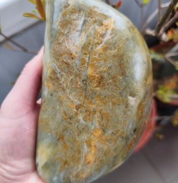 Hetian Jade Blue-and-White Green Jade Seed Material Rough Stone 1.02kg Xinjiang Hetian Jade Natural Jade Stone