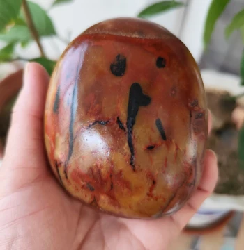 Hetian Jade Specialty Seed Material Rough Stone 480g, Xinjiang Natural Hetian Jade