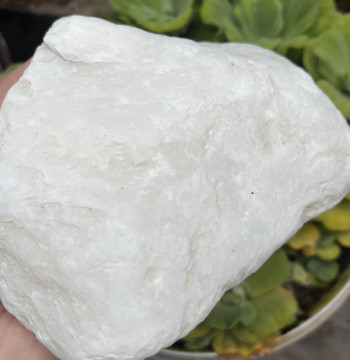 Xinjiang Hetian Jade White Jade Grade A White Irregular Ruyi Raw Stone Edge Scraps Unpolished Jade Material Free Shipping 743g