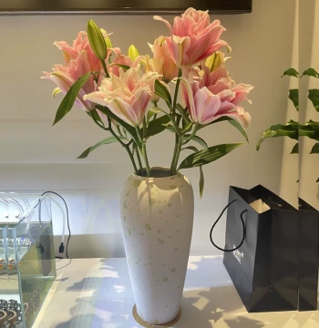 Jingdezhen Nordic Ceramic Vase for Water Cultivation of Lucky Bamboo and Lilies, Living Room Dried/Fresh Flower Vase, Home Decor Ornament
