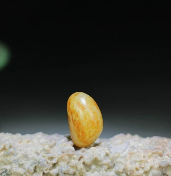 Xinjiang Hetian Jade 8.5g Fine Full Gold-Sprinkled Skin White Jade Seed Material Rough Stone Pendant, Jewelry Jade Seed Jade