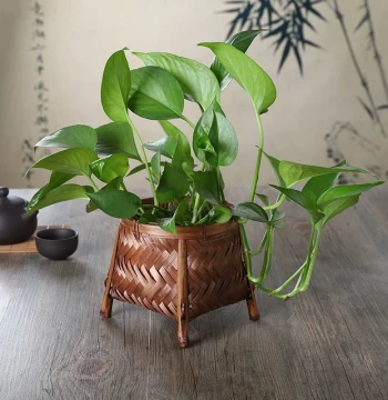 Bamboo Woven Flower Basket for Tabletop Floral Arrangement, Bamboo Planter Cover, Decorative Vessel, Storage Basket, Handcrafted Ornament