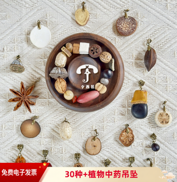 Traditional Chinese Medicine Plant Fruit DIY Accessories - Nail Pins for Handmade Cultural Creative Decor, Pendants, Earrings Material Kit #3