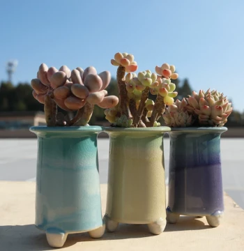 Ice-Crack Fresh Style Straight Rim Old Stump Peach Egg with Stem Succulent Ceramic Pot Desktop Ornament Aeonium Potted Plant