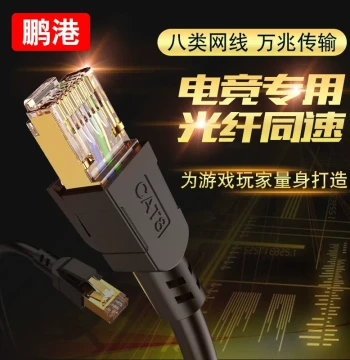 Penggang Cat8 10-Gigabit Ethernet Cable Cat8 E-Sports Grade Gaming Dedicated Fiber Broadband Home Industrial High-Speed Ethernet Cable