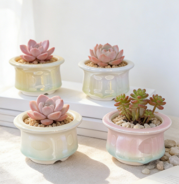 Succulent Planter with Brim: Round Mouth Gradient Color Laser Electroplated Handmade Ceramic Indoor Plant Pot & Decorative Ornament