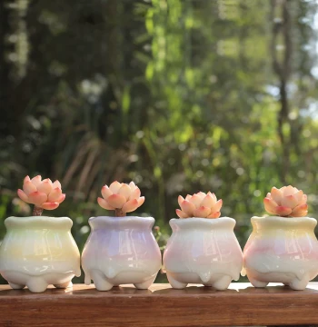 Fresh Simple Ice-Crackle Small Milk Jar Controlled Shape Ceramic Succulent Ceramic Pot Rainbow Indoor Combination Ornament Green Plants
