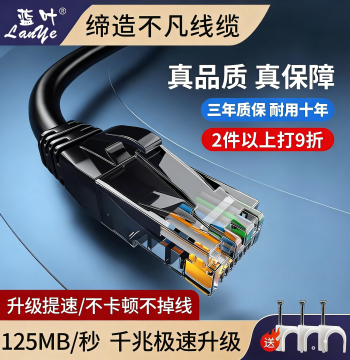 Lanye Gigabit Cat6 Home Connection Cable, Network Cat5/Cat6 10G Router Computer Broadband Cable 10m