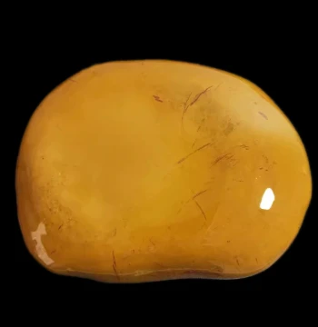 Yellow Wax Stone / Natural Yellow Dragon Jade Raw Stone Ornament - Collectible Agate-like Fine Wax Polished Pebble for Display (Item #88)