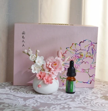 Ceramic Vase with Handcrafted Plum Blossom Branch Set: Tea Table & Living Room Decor, Aromatherapy Ornament, Gift Box