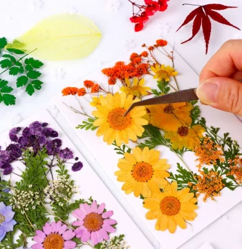 Dried Flowers & Preserved Flowers Handmade DIY Pressed Flower Kit with Natural Mixed Leaves for Resin Casting, Real Flower Pressing Materials for Mother's Day