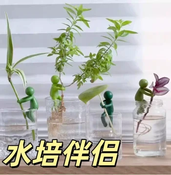 Accessory Creative Hydroponic Companion Plant Hanging Ornament Plastic Green Home Decoration Handmade DIY Gardening Supplies