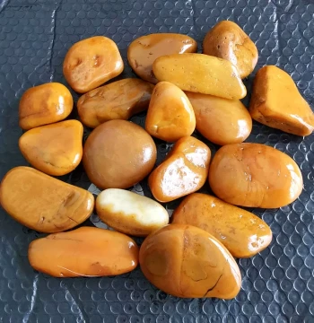 Yellow Dragon Jade Raw Stone Seed Material Small Yellow Wax Stone Carving Bare Stone Jade Playstone Practice Material Turtle Basking Platform Sunbathing Stone