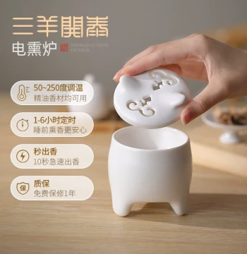 Ceramic Electric Incense Burner for Home Use – Essential Oil Diffuser with Dry-Heat Function and Temperature Control