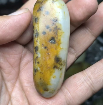 Seed Material Raw Stone Hand Piece, Hetian Jade Tiger with Leather and Reed Yellow Skin