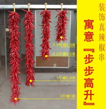 Creative Handwoven Real Chili Pepper String, Agritourism Scenic Spot Decor Ornament, Red Chili String for Housewarming Celebration