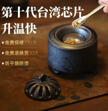 Ceramic Electric Incense Burner, Plug-in Electronic Agarwood Smoker with Dry-Heat Resistance