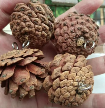 Christmas Pinecones with Nails, Natural Handmade Christmas Decoration Pinecone Ornaments, Photography Props, DIY Parrot Toys