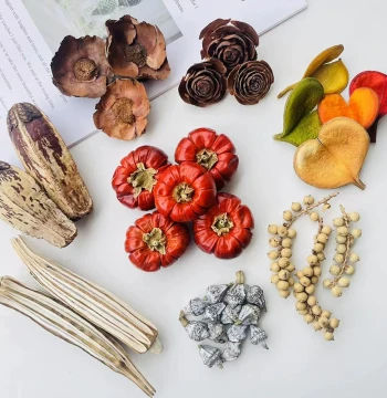 Dried Plant Fruits, Shells, Leaves, Silk Fruit, Burmese Eggplant, Bodhi Seeds Raw Seed Ornaments for Decoration and Handmade DIY Materials