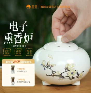Ceramic Electric Aromatherapy Burner for Bedroom and Home - Timer and Temperature Adjustable Incense Heater for Powder, Blocks, and Essential Oils