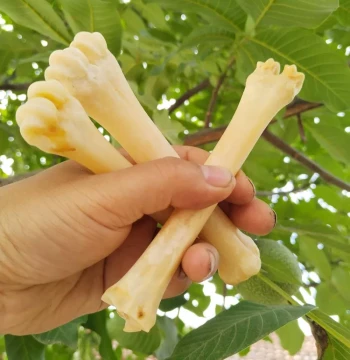 Small Leg Bone Hand Piece Jade-Finished Cultural Play Bracelet Natural Wine-Soaking Bone Buddha Bead Material Ornament High-Density Hand-Polished