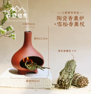 Senye Zhiyu Ceramic Aromatherapy Burner - Desktop Mini Fireplace for Dry Burning Palo Santo, White Sage, and Cedar