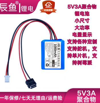 5V Lithium Battery for Microcontroller Raspberry Pi 3A Battery 5V3A Lithium Battery 5V Servo Battery 5V Solar Battery 3A