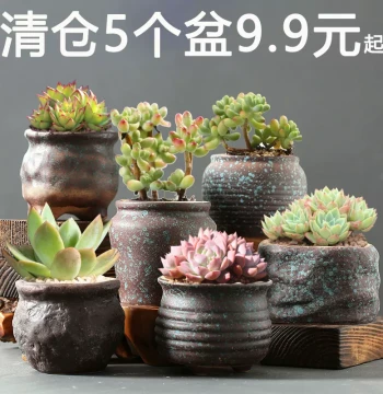 Special Offer Succulent Plant Pots: Various Sizes and Calibers, Coarse Pottery Clay, Creative Old Stump Style, Balcony Succulents, Home Ceramic Pots, Clearance Sale
