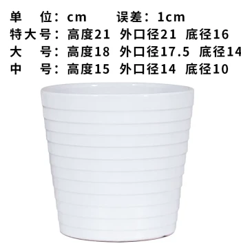 Large Extra-Wide Ceramic Flower Pot on Clearance – Modern Minimalist Design for Succulents and General Green Plants