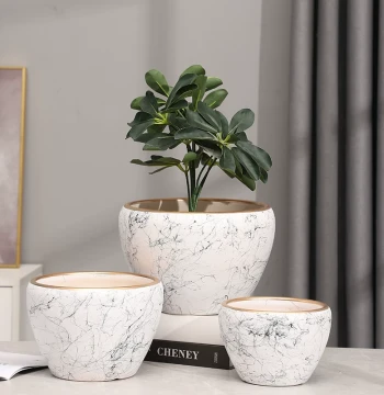 Extra-Large Ceramic Flower Pot, Apple-Shaped Succulent Planter, Phalaenopsis Orchid Pot, Indoor/Office Desktop Plant Container