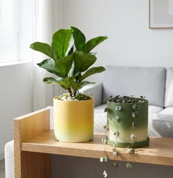 Minimalist Bisque Gradated Matcha Green Ceramic Straight Pot for Plants - Breathable Large Diameter Clay Planter