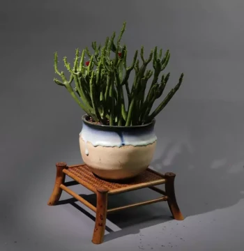 Handmade Meilu Bamboo Orchid Stand Woven Mat Display Rack Desktop Showcase Tea Shelf Flower Stand Acorus Calamus Shelf Decoration
