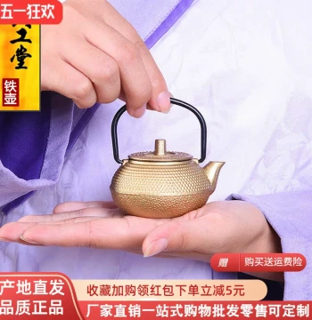 Tea Pet Ornament Mini Iron Pot Small Teapot Cast Iron Pot Special Price Handmade Kung Fu Tea Set Home Tea Play Tea Fun