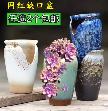 Succulent Notched Planter Home Medium Cut-Edge Pot Cliff Old Stem Breathable Creative Purple Joy Ceramic Special Clearance 71
