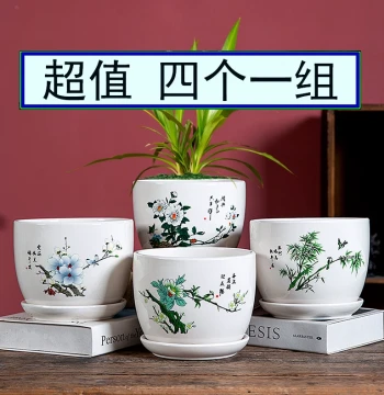 Clearance Ceramic Flower Pot with Saucer: Creative & Personalized Breathable Planter for Pothos and Phalaenopsis Orchids