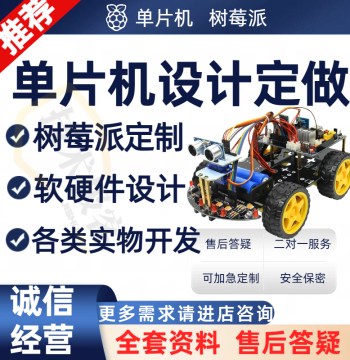 Raspberry Pi Project Design Custom STM32 Microcontroller Design Smart 51 Microcontroller Programming Service