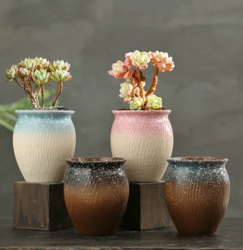 Succulent Flower Pot Ceramic Aeonium Old Stump Pot Large Diameter Special Clearance Nordic Minimalist Succulent Flower Pot Set Combination