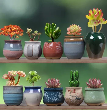 Succulent Ceramic Flower Pot Clearance Sale - Minimalist Indoor Desktop Creative Thumb-Sized Planter for Meaty Plants Special Offer