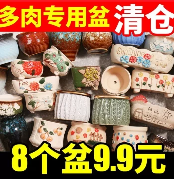 Succulent Pot Home Ceramic Pot Large Diameter Clay Creative Coarse Pottery Small and Large Succulent Plant Ceramic Pot Special Clearance