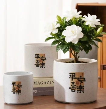 Chinese Style Ceramic Flower Pot 'Peace and Joy' for Living Room Desktop, Festive Phalaenopsis Green Plant Pot, Universal Planter with Free Shipping