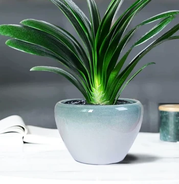 Home Minimalist Creative Ceramic Flower Pot Special Clearance Indoor/Outdoor Nordic Style Large Caliber Money Tree Living Room