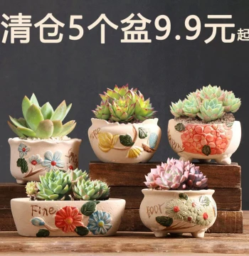 Hundred Flowers Succulent Planter Special Price Clay Home Balcony Unglazed Rough Pottery Simple Clay Pot Small/Large Size Root-Control Ceramic Pot