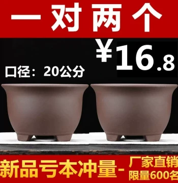Purple Clay Flower Pot Bonsai Orchid Pot Special - Ceramic Succulent Rose Rose Seedling Pot Minimalist Clearance Sale