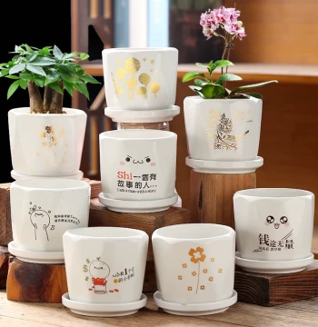 Large Ceramic Flower Pot for Green Plants, Minimalist Style Planter for Succulents, Phalaenopsis Orchids, and Clivia