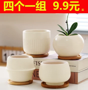 Nordic Ceramic Flower Pot with Tray, Minimalist Indoor Special Clearance Large Size, Unique Home Pothos and Succulent Pot