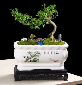 Rectangular Flower Pot Ceramic Minimalist Indoor Unique Balcony Orchid Succulent Phalaenopsis Pothos Banyan Large Diameter Pot