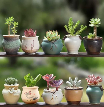 Succulent Pot Ceramic Succulent Plant Coarse Pottery Retro Unglazed Zisha Home Creative Small and Large Simple Special Clearance